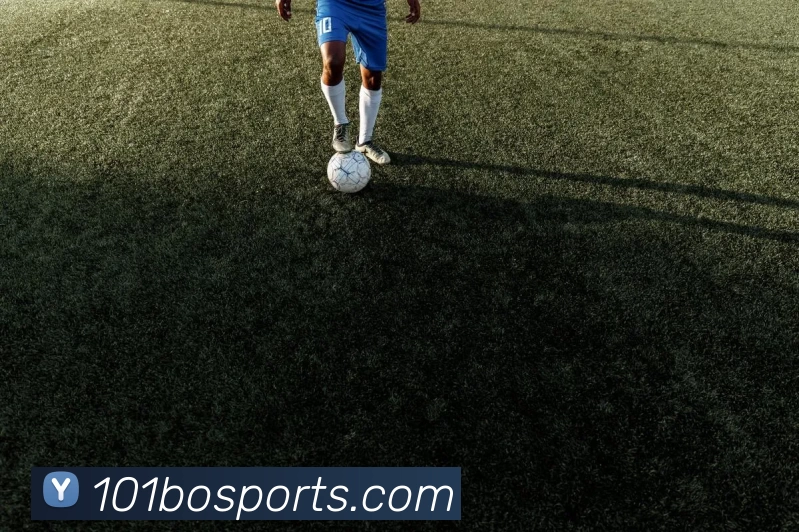 霍福德场边亮相！美女老婆为丈夫加油助威(霍福德老婆照片)